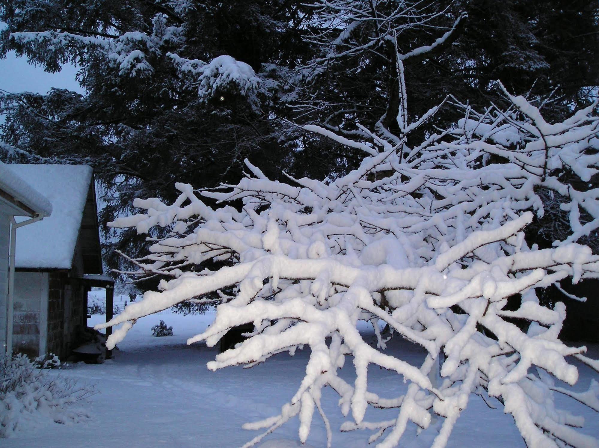 Miller Tree Inn Forks Exteriér fotografie